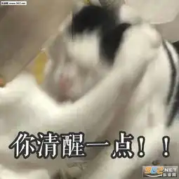 切格瓦拉身上纹从此不做打工人表情包莫文蔚的阴天孙燕姿的雨天表情包图片下载乐游网游戏下载