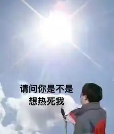 热死啦表情包大全
