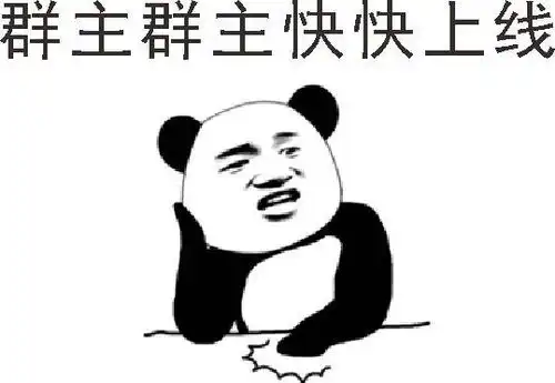 调戏群主表情包合集
