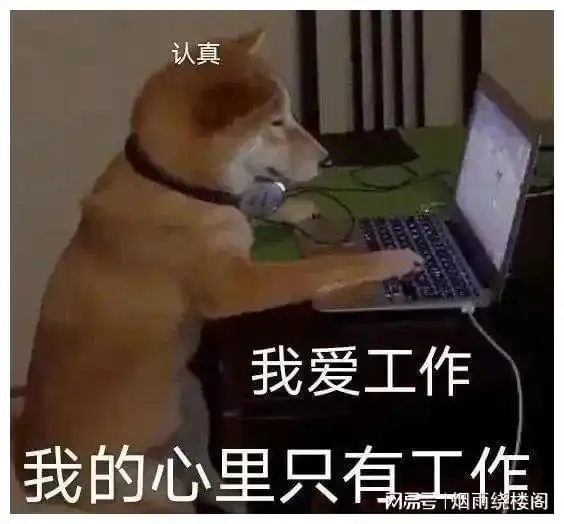 聊天必备表情包335可爱搞怪沙雕表情包
