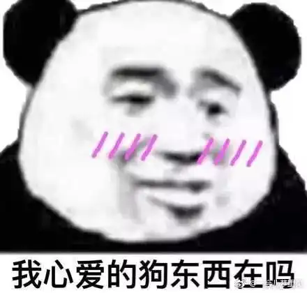 魔鬼羽绒服了解一下
