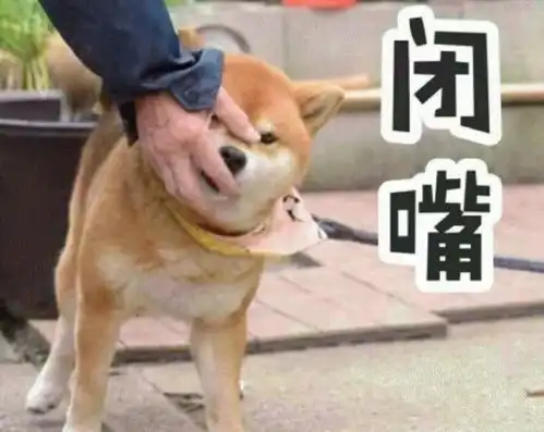 外行星与办公室部长,一同压轴收官
