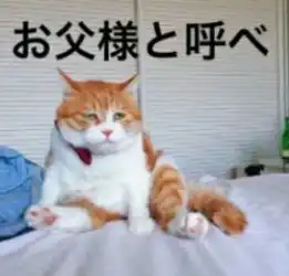 日语表情包开始流行起来
