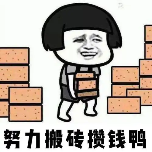 过年回家买什么包,显得老娘过得很好
