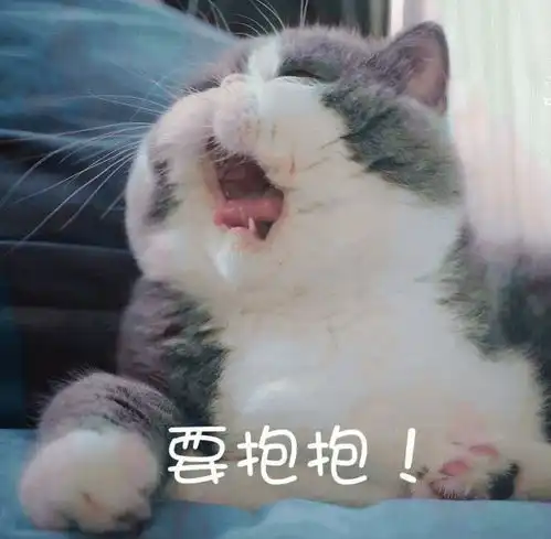 坑高价买病猫骗人不手软无良商家,你们的良心都不会痛吗
