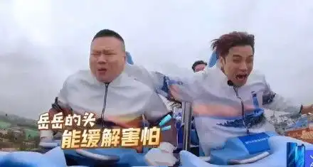 坐过山车的小岳岳被吓得找不到眼睛,网友新的表情包要出山
