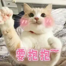 发表情表情包大全微信表情包qq表情包fabiaoqing.com
