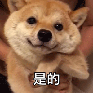 动物表情包,太可爱啦
