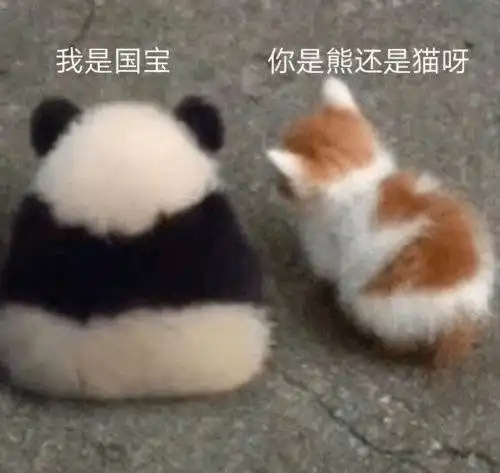 猛男必须经受得住的考验血槽已空
