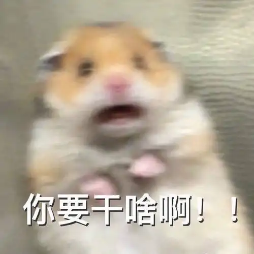 昨天晚上把喜欢的男生给亲了1.20号更新
