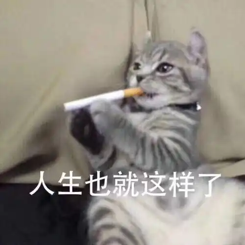 我回头去看奇葩说第三季发现了一个很悲惨的事情
