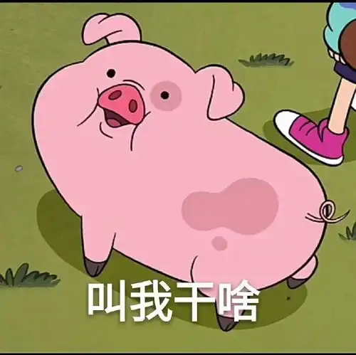 表情包摇摇小猪表情包,叫我干啥

