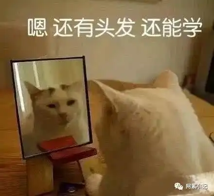 大学生,别再开学恐惧症了,一起来克服它