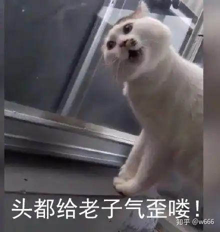 给你们安利一波我看中的表情包
