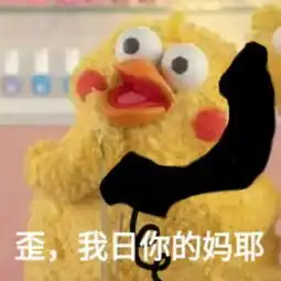 鹦鹉兄弟表情包你自个心里没点b数吗搜狐搞笑搜狐网