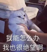 最新放假通知来了还有6个好消息和7个坏消息,看到最后都哭了
