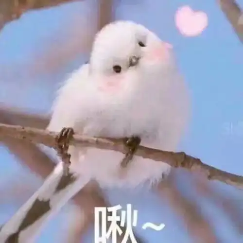 精致又仙气的日系美甲,妙啊

