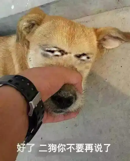 如何优雅而不失风度地,用表情包让对方闭嘴好了二狗不要再说了
