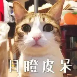 课堂第二讲丨聊聊保险合同时间那点事儿
