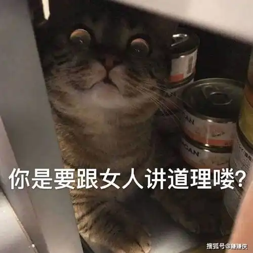 可爱表情包图片我知道错了
