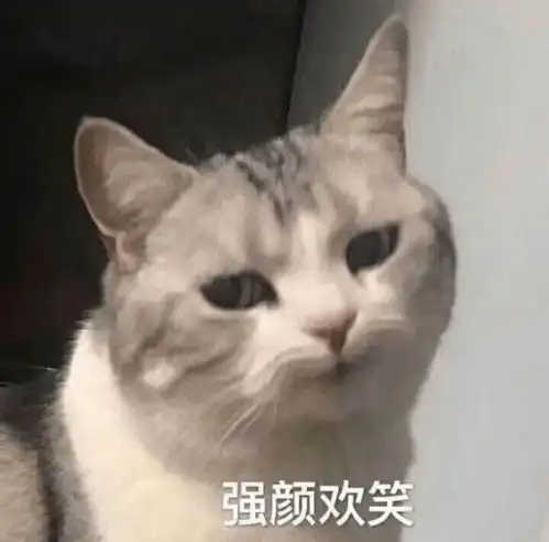冷空气新台风连州气温降到1字头剩下的假期,天气将......
