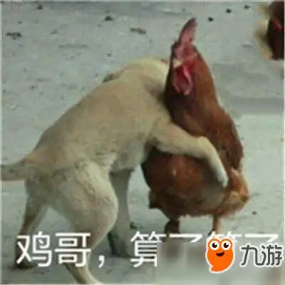 大吉大利晚上吃鸡鸡为何能成为游戏中最常见的动物
