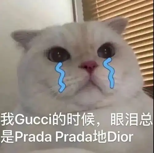 沙雕猫猫表情包我就是菜,怎样