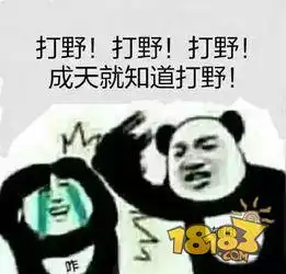 在座的各位都是辣鸡王者荣耀各定位眼中的队友
