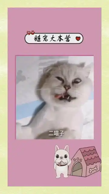 绝育完的经典表情
