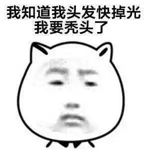 大学里脱发率最高的专业你的头发还好吗
