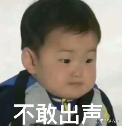 独居,平时在单位时间长,适合养猫吗
