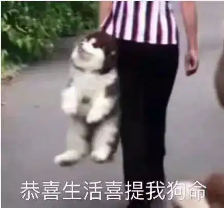 还在等房价跌醒下啦,花都就要卖四万啦
