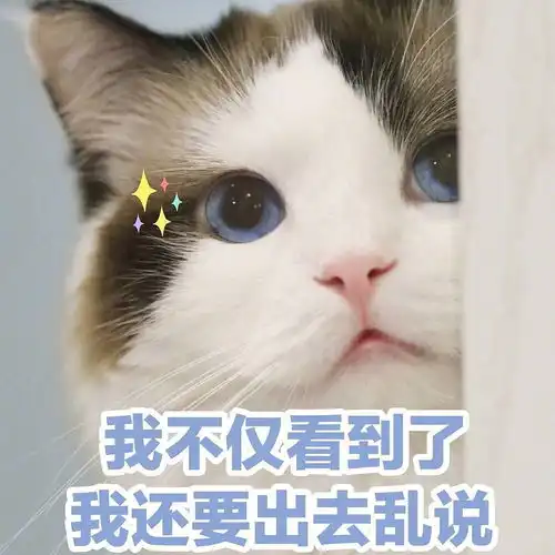 更一下各式表情包
