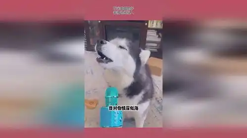 不光歌唱的好,表情也很投入
