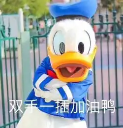 今天也要加油鸭表情包唐老鸭加油鼓励表情包
