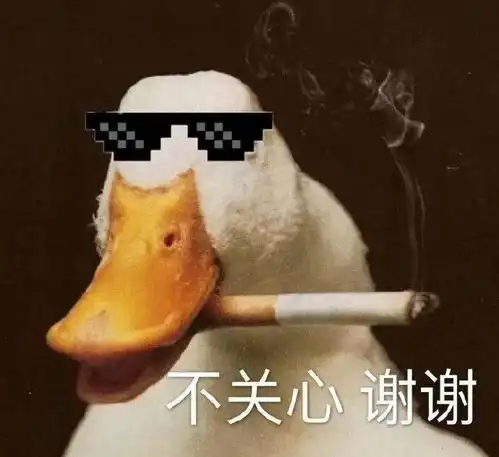暖阳猫神合约到期,续约or转会瓶子fmvp牌自由人