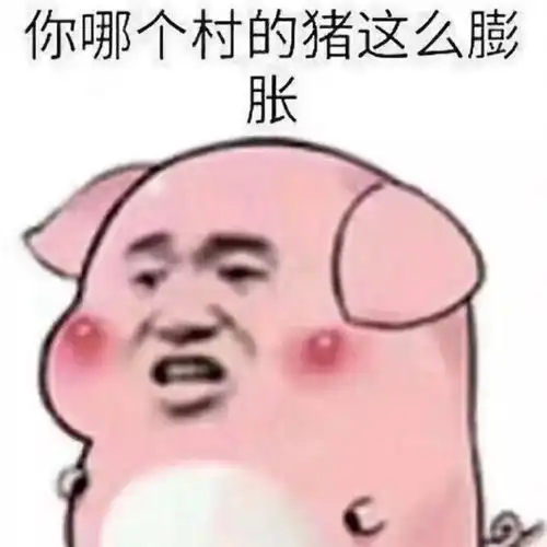 猪年盘猪,关于猪的冷知识你知道几条
