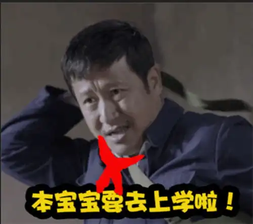 李保国表情包被玩坏张国强太行赤子尽显反差萌
