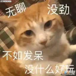 您吃过的最大苦是什么上班图片杀了我就现在表情包下载乐游网游戏下载
