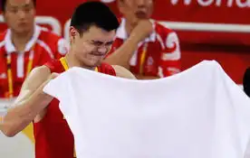 奥运中国
