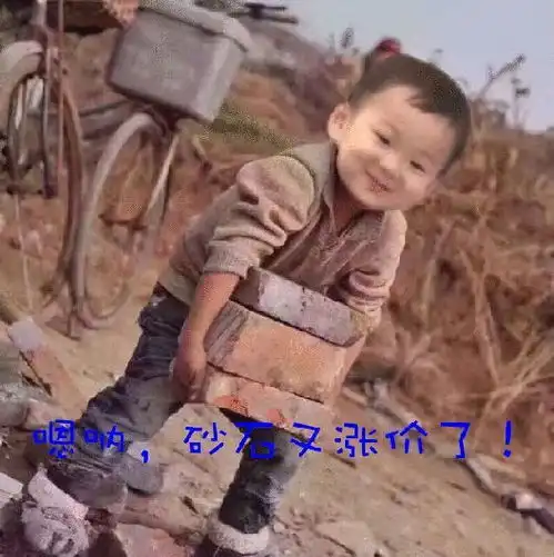 你没听错,砂石又双叒叕涨价了
