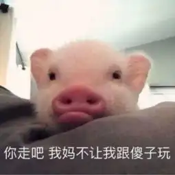 扒一扒商之潮背后的小编们下
