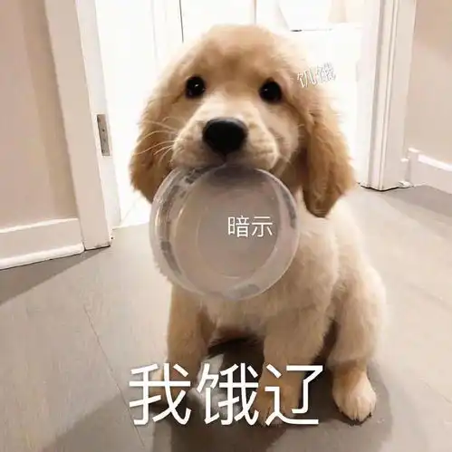 情侣头像vs单身头像
