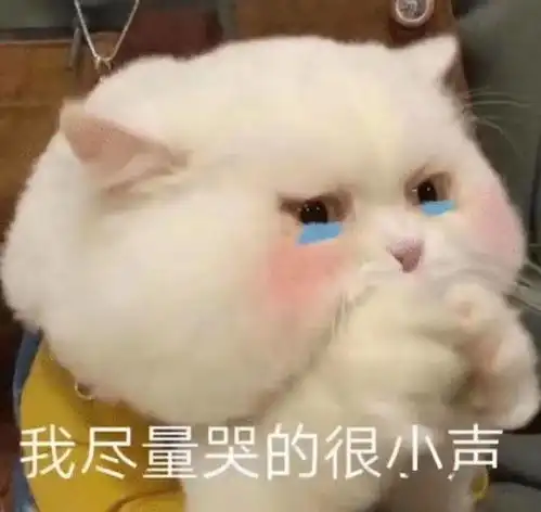 30个网红蠢萌猫狗表情包,捏你小肥脸
