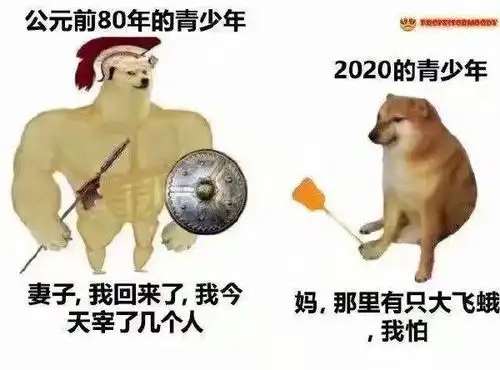 无聊图热榜0527
