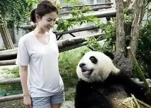 这对cp终于向世人证明,男神女神是可以在一起的