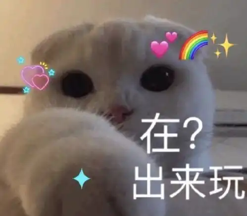 进来收图论表情包,我还从来没输过
