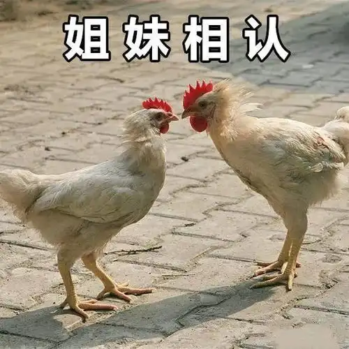 流量瓶颈期把好兄弟同类产品的流量给全吃掉,还怕爆不了单
