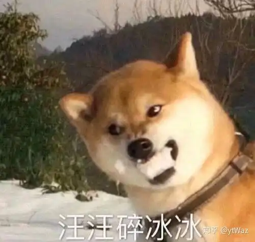 有没有能把人怼的欲哭无泪的表情包
