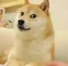 我的表情包,柴犬去世了
